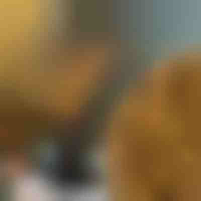 Świecące gałęzie dekoracyjne | BRANCHLUMOS