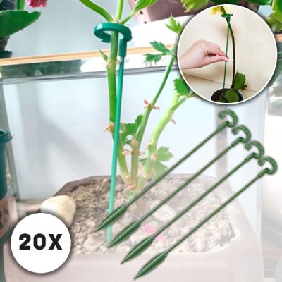 Stabilizator Roślin | ROOTZI