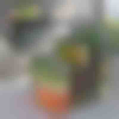 Organizer do Lodówki | FRESHDISH