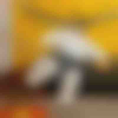 Nadmuchiwany kostium sumo | SUMOCOS