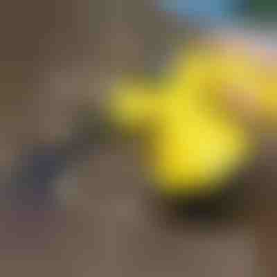 Myjka parowa do dezynfekcji | VAPERO