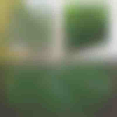 Dekoracyjny i praktyczny płot na taras i do ogrodu | GREENFENCE