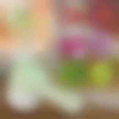 4 w 1 ręczna elektryczna siekaczka | ROTOCHOP