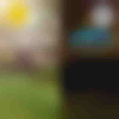 Tropikalne światła ogrodowe solarne | LUMIPALM