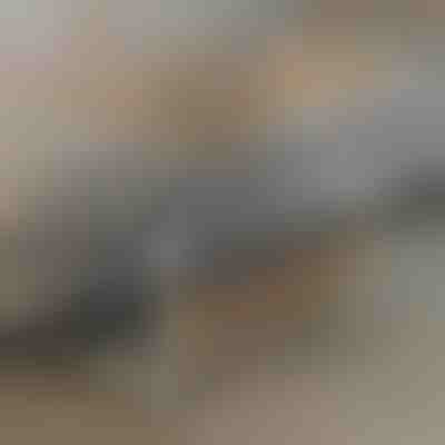 Przenośny Stół | EVOSTUL