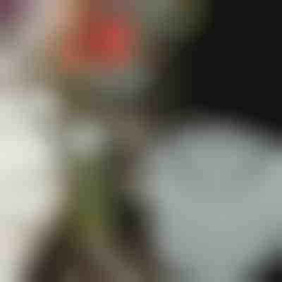 Uchwyty na kwiaty do wspaniałych aranżacji (3szt) | VASEKA