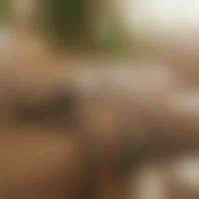 Magnetyczny samoprzylepny organizer kabli (12 sztuk) | CABLIP