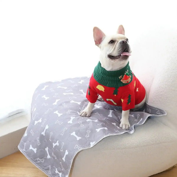 PAWSORB-3831127628143-N-2__081225