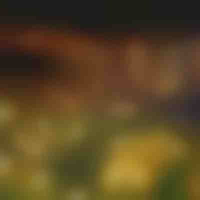 Ogrodowe lampy solarne (ciepłe światło) | SOMPEX